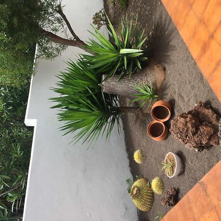 Apartamento Con Jardin Y Piscina B Puerto de la Cruz  Exterior photo